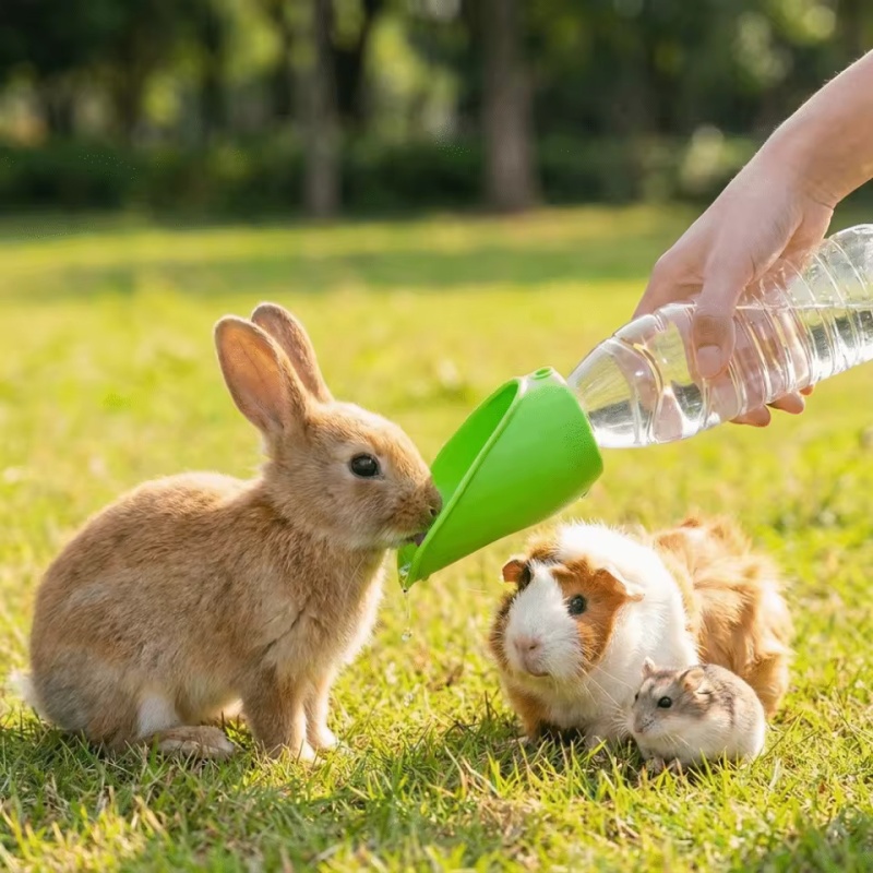 Dog cat Travel Water Bottle  P - Water Bag Collapsible ulasan dan harga